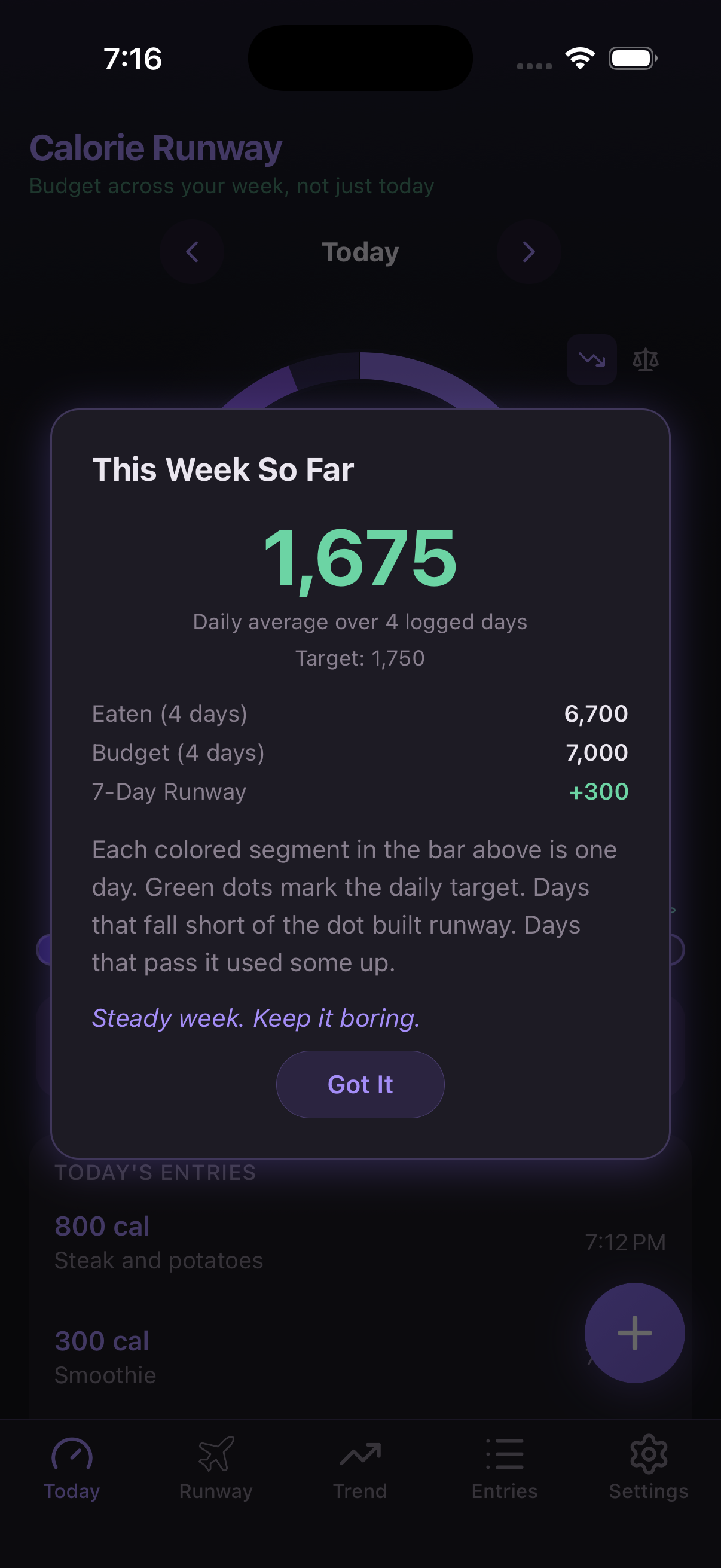 Runway detail showing +300 surplus
